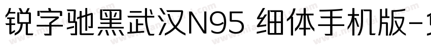 锐字驰黑武汉N95 细体手机版字体转换